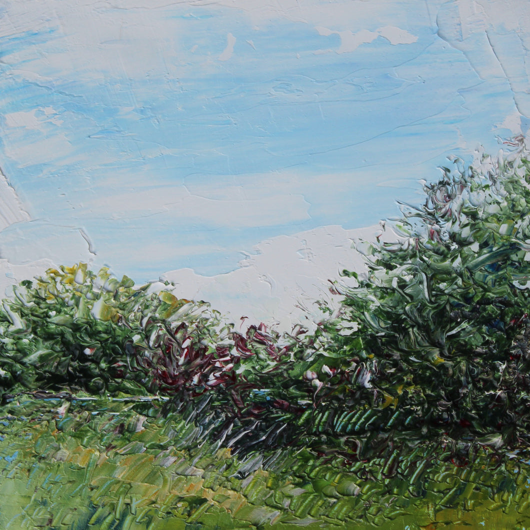 #0097 Day 79 - Alla Prima - Backyard 4